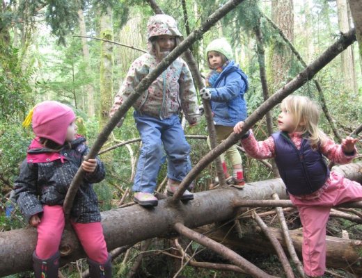 forestkindergarten1-worldkids