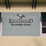 LOGGERHEAD MARINELIFE CENTER’S SUMMER MARINE BIOLOGIST CAMP (Florida)